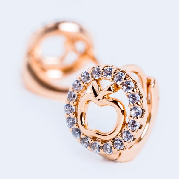 Earrings E4729