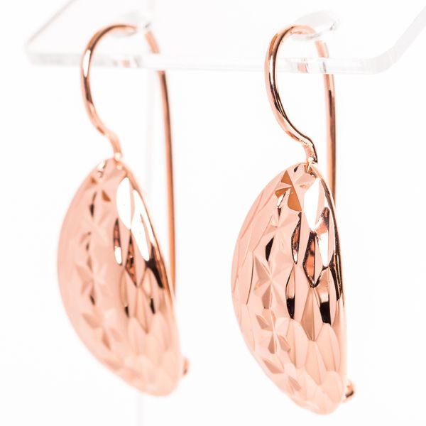 Earrings F82100441