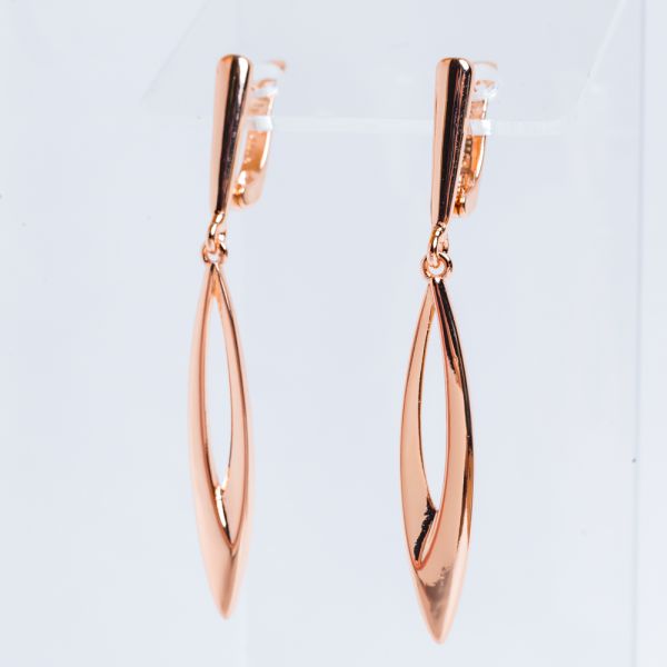 Earrings F82100808