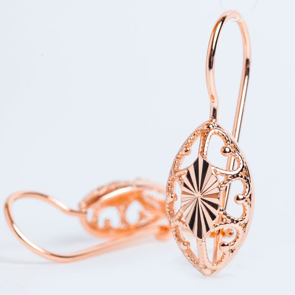 Earrings F82100887