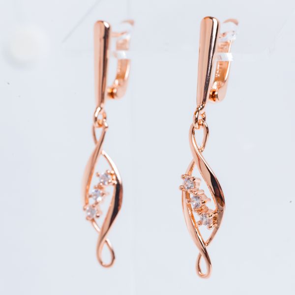 Earrings F82202203-01